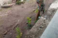 IMG-20230309-WA0016